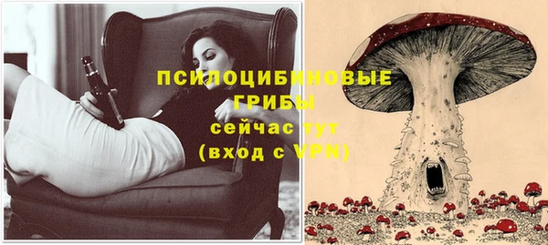 амф Белоозёрский