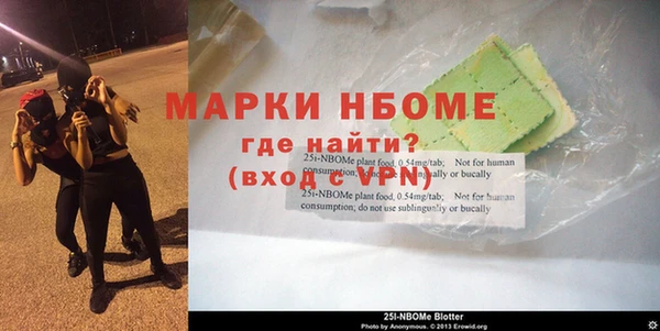 дживик Богородск