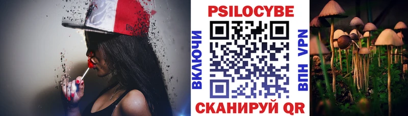 купить закладку Кондрово Галлюциногенные грибы MAGIC MUSHROOMS